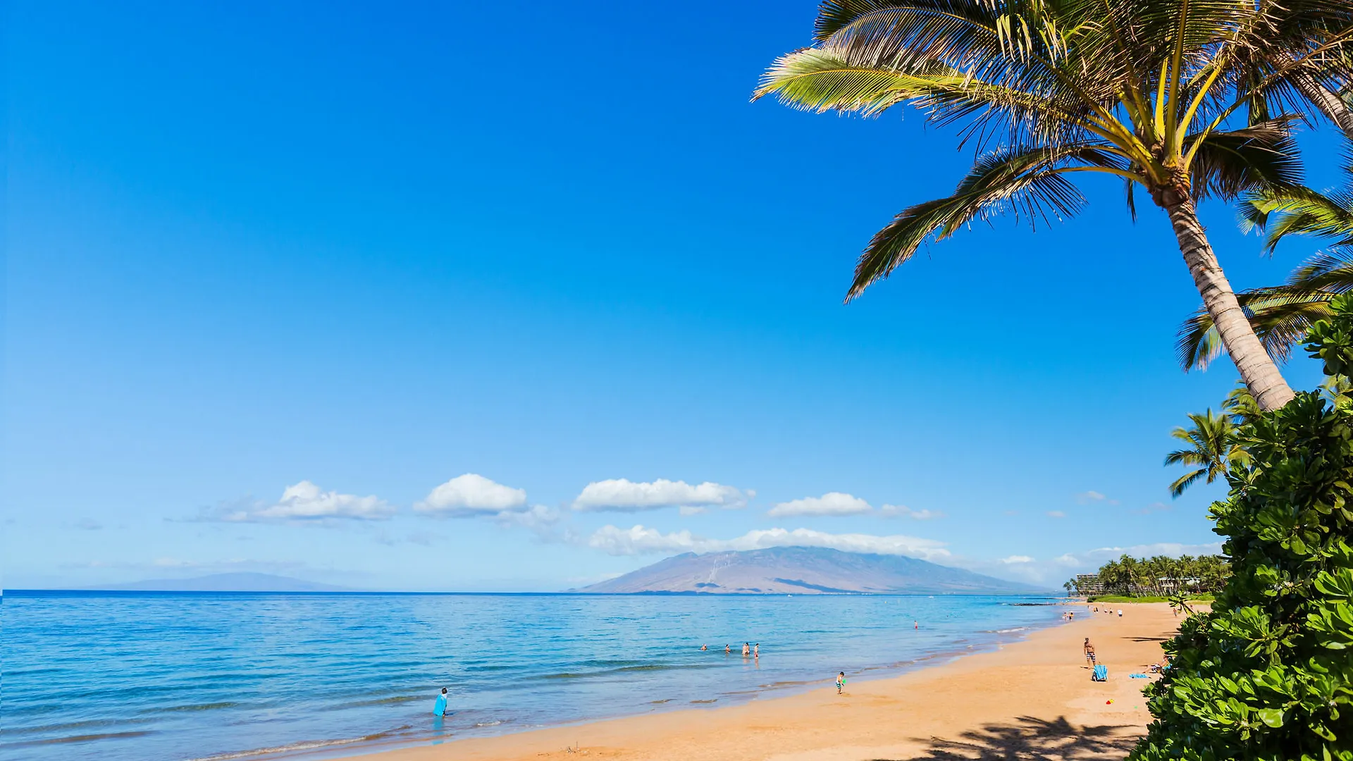 3 Bedroom Kihei Vacation Rental location