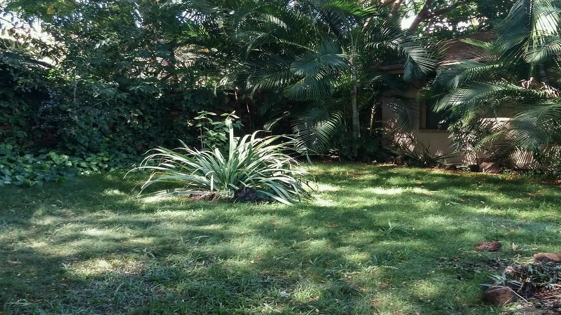 3 Bedroom Kihei Vacation Rental